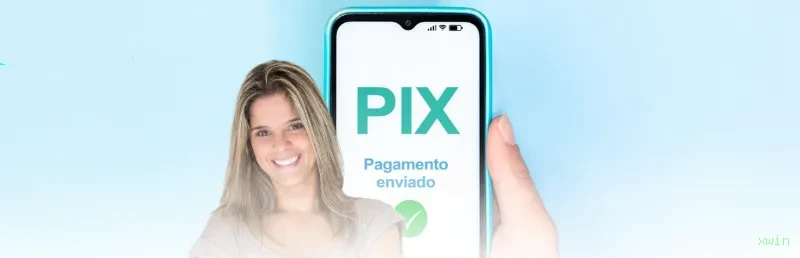 xwin Segurança